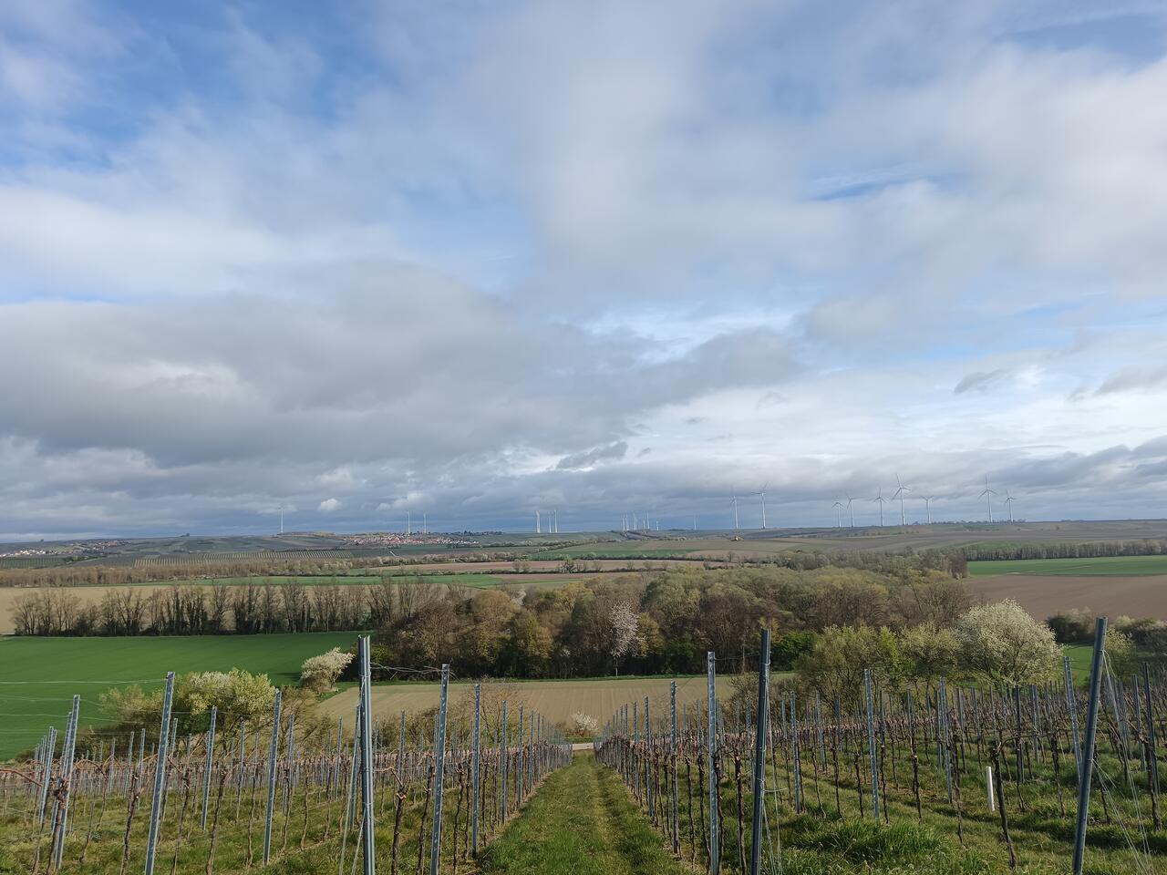 Countryside, Albig
