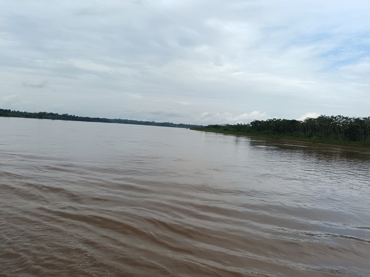 amazonas