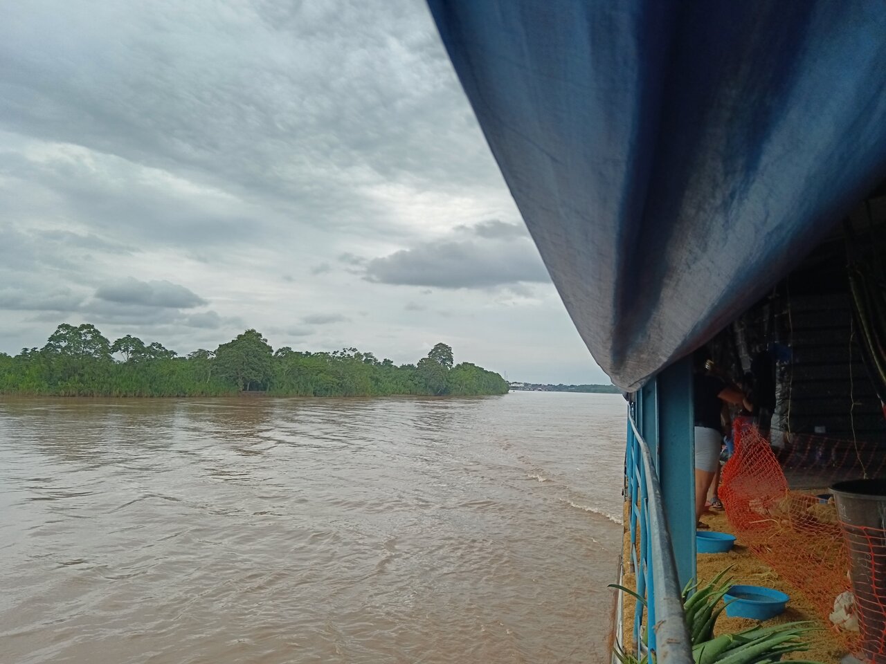 amazonas