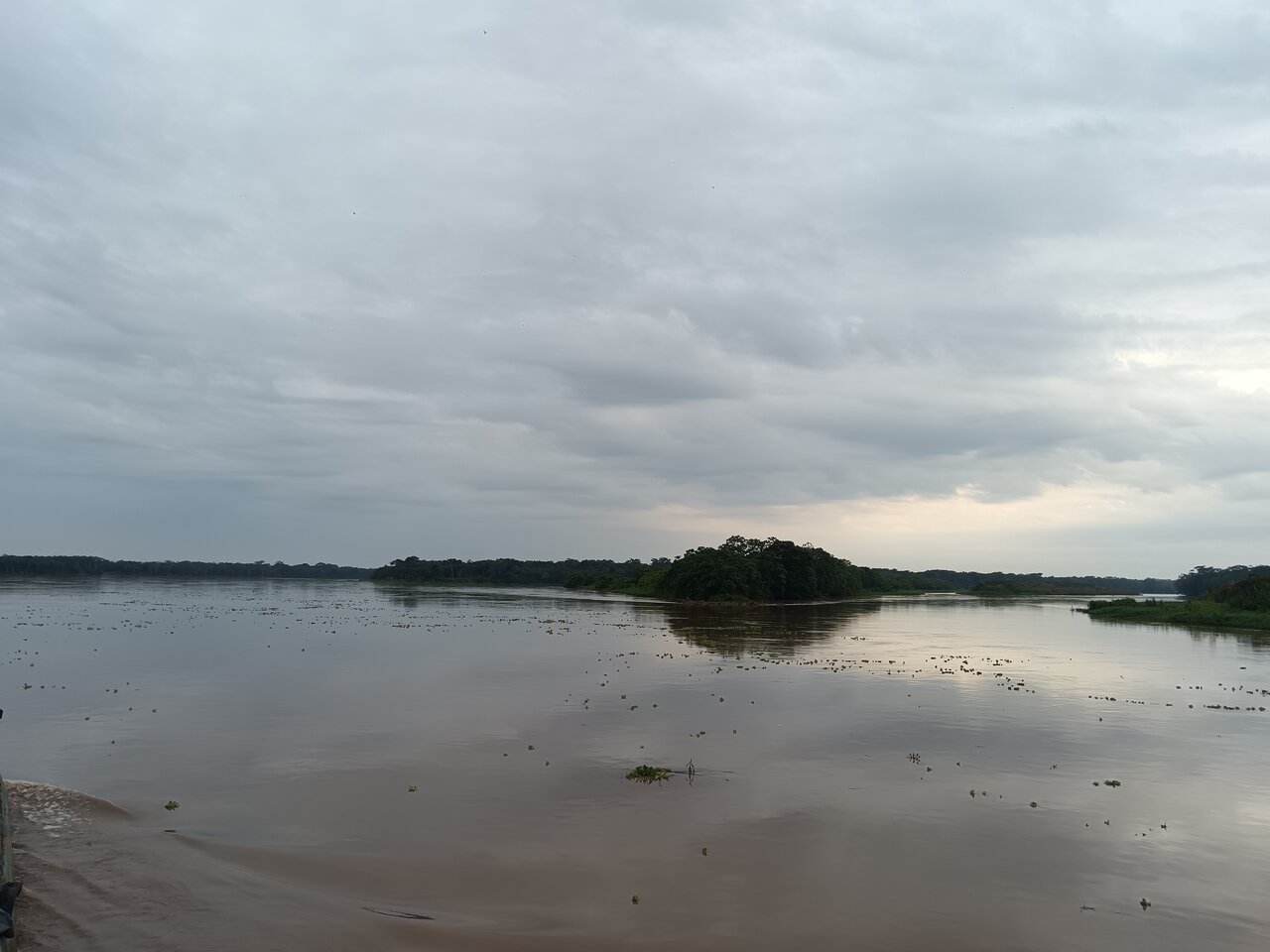 amazonas