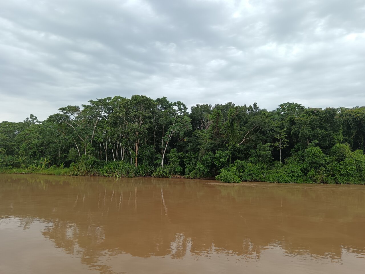 amazonas
