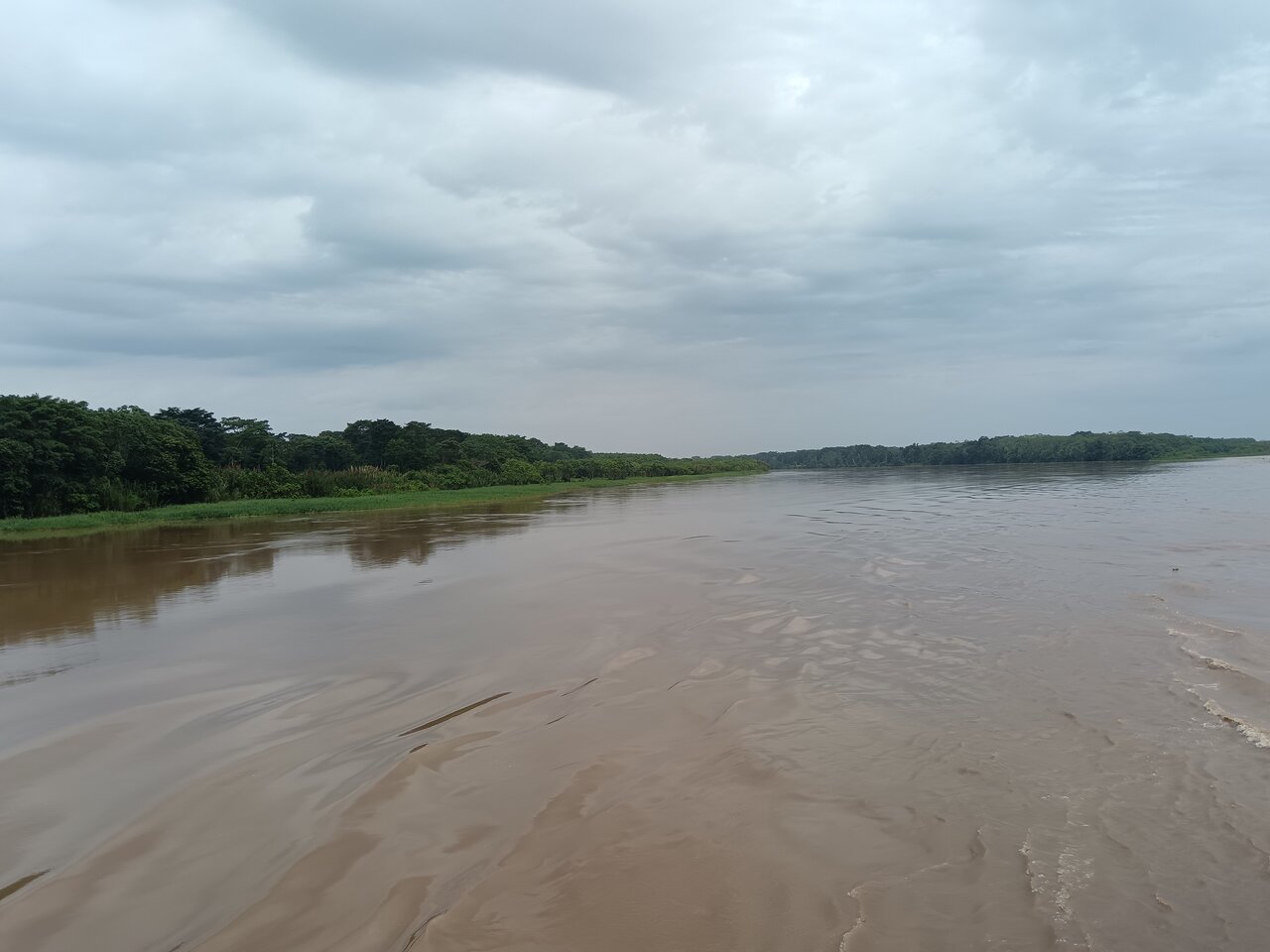 amazonas