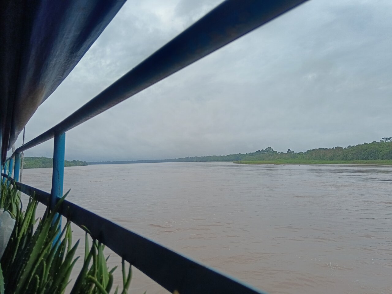 amazonas