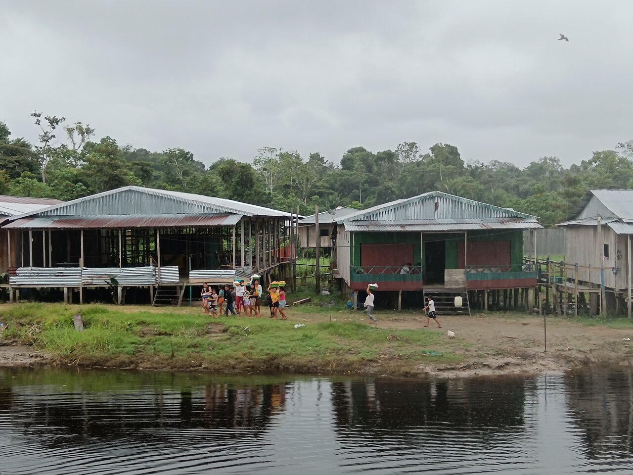 amazonas