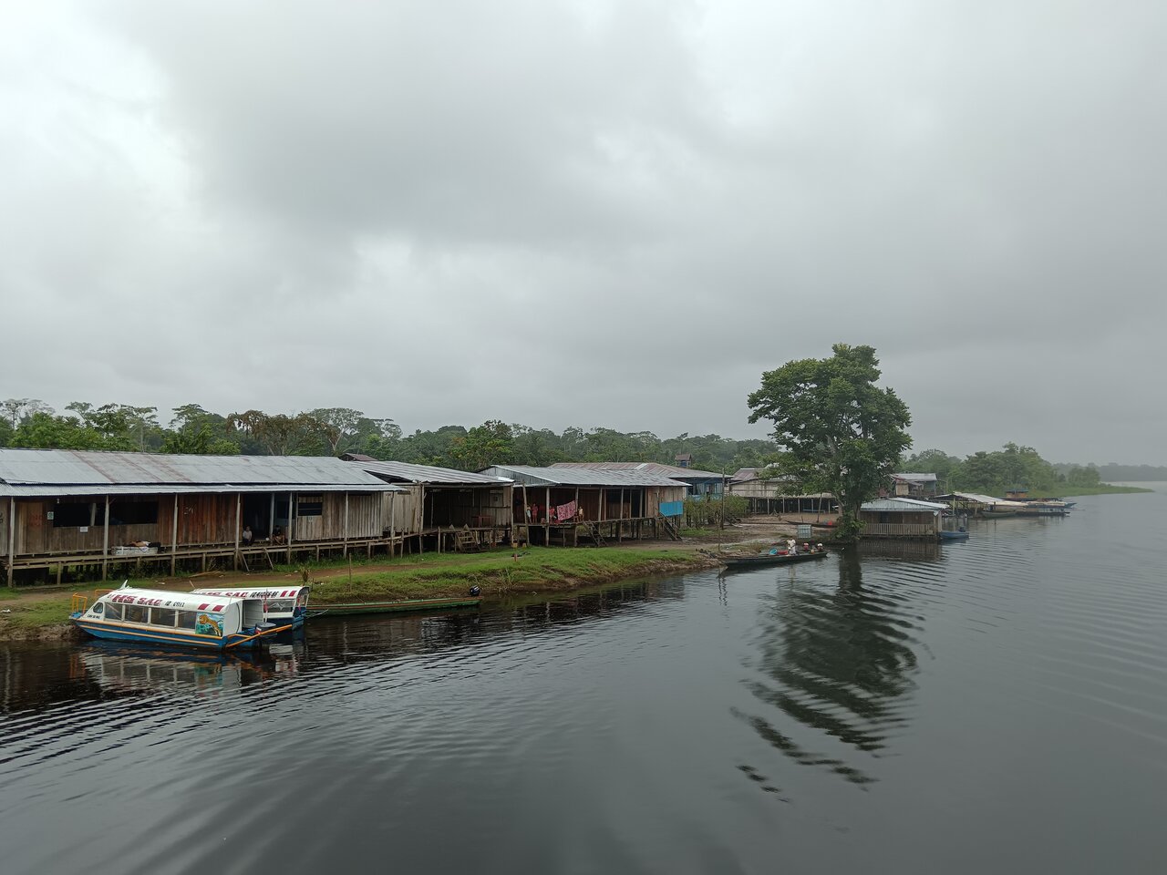 amazonas
