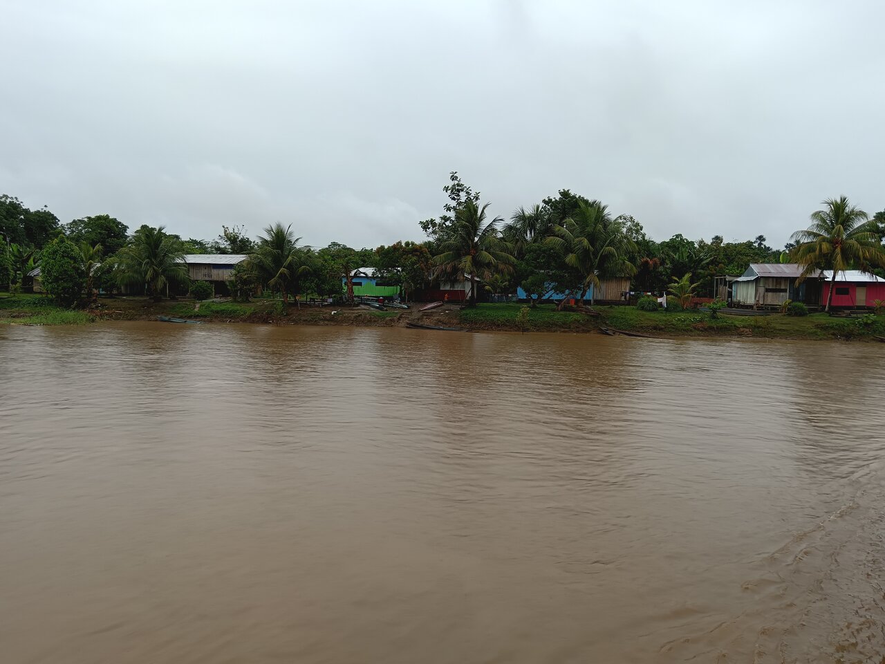 amazonas