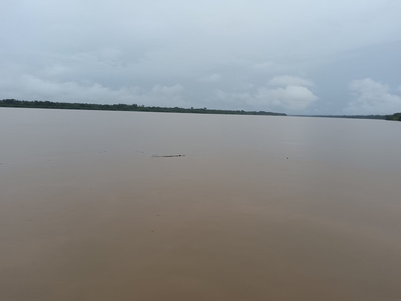 amazonas