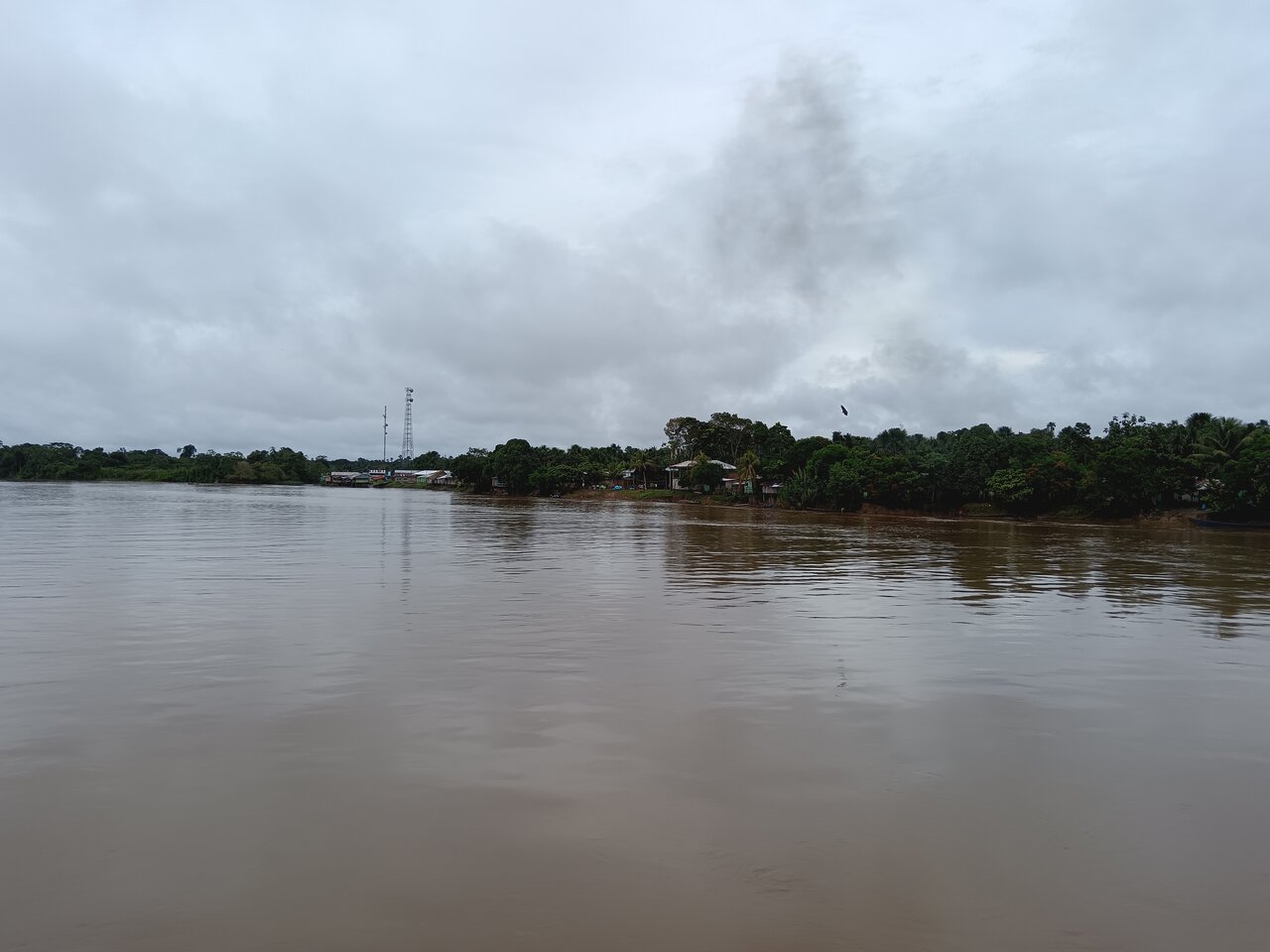 amazonas