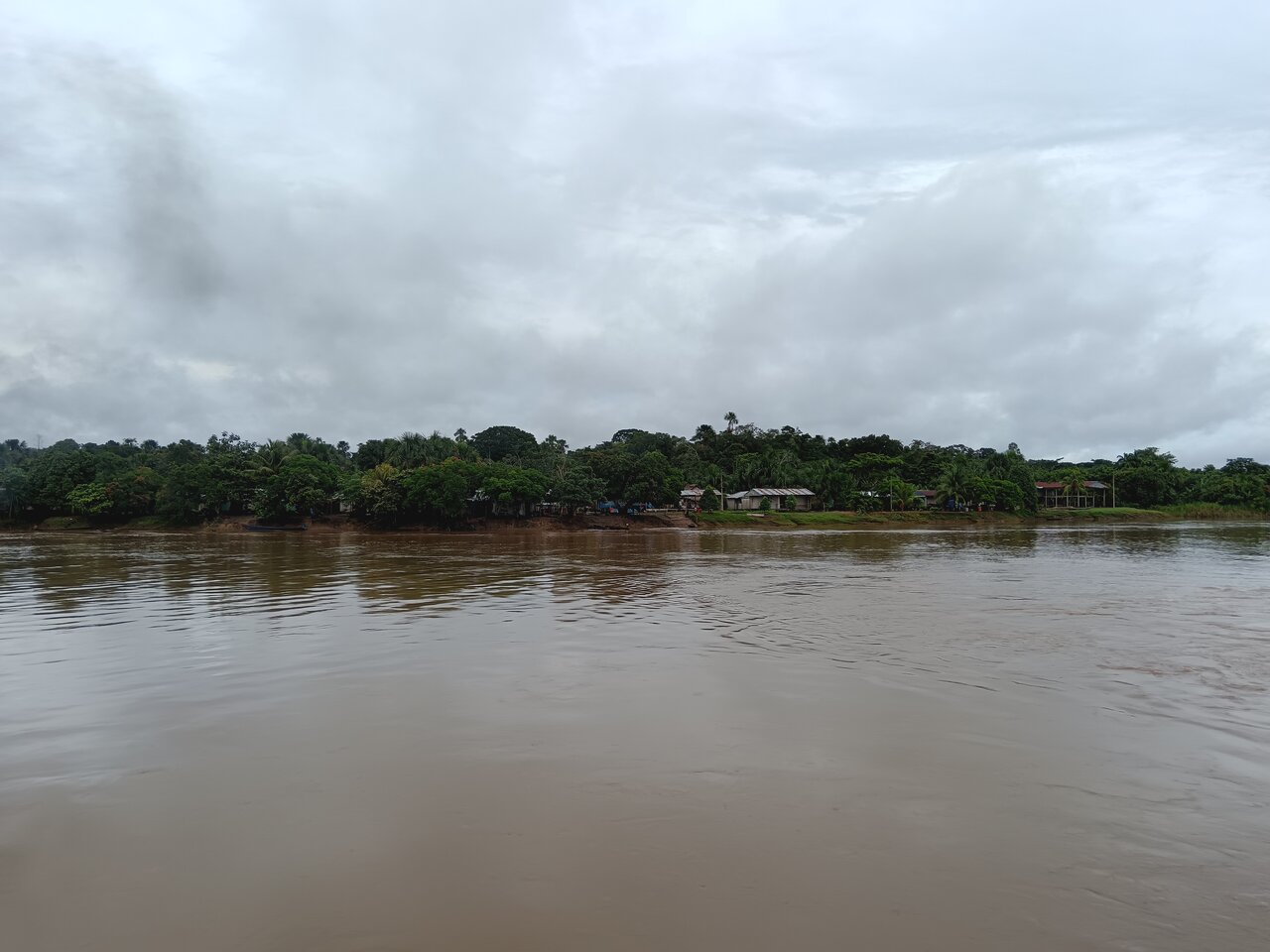 amazonas
