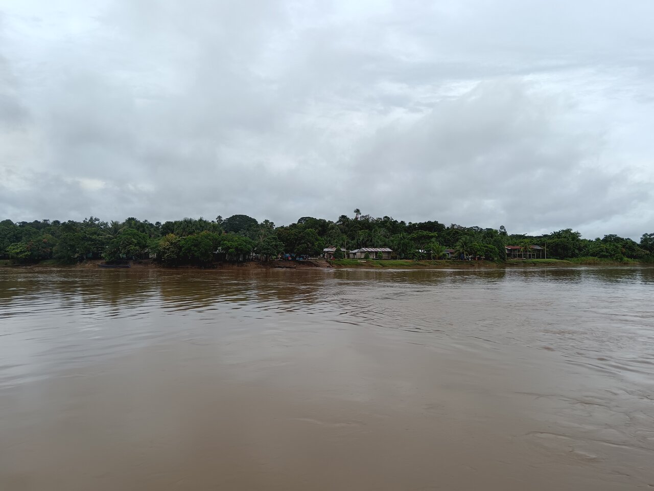 amazonas