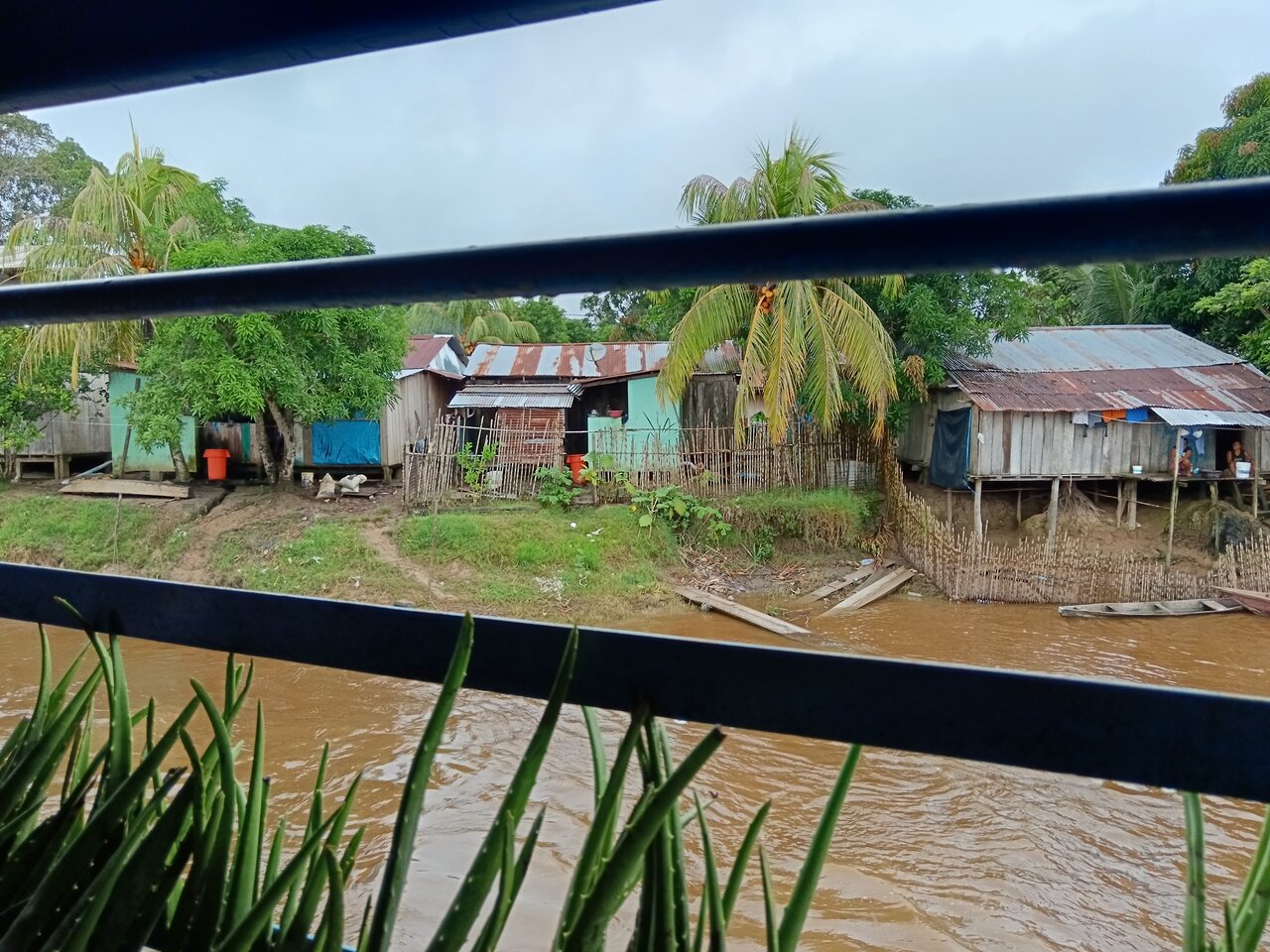 amazonas