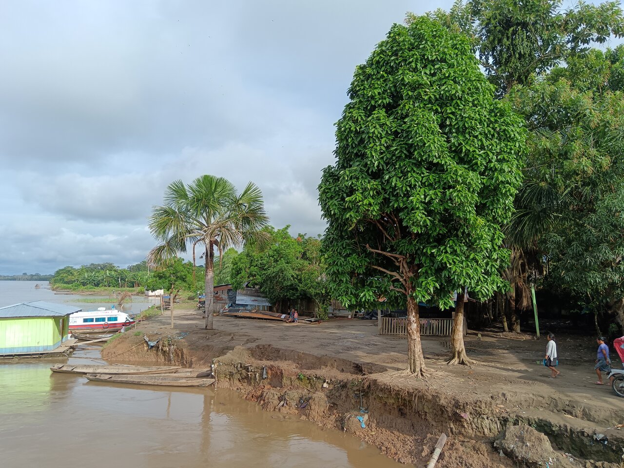 amazonas