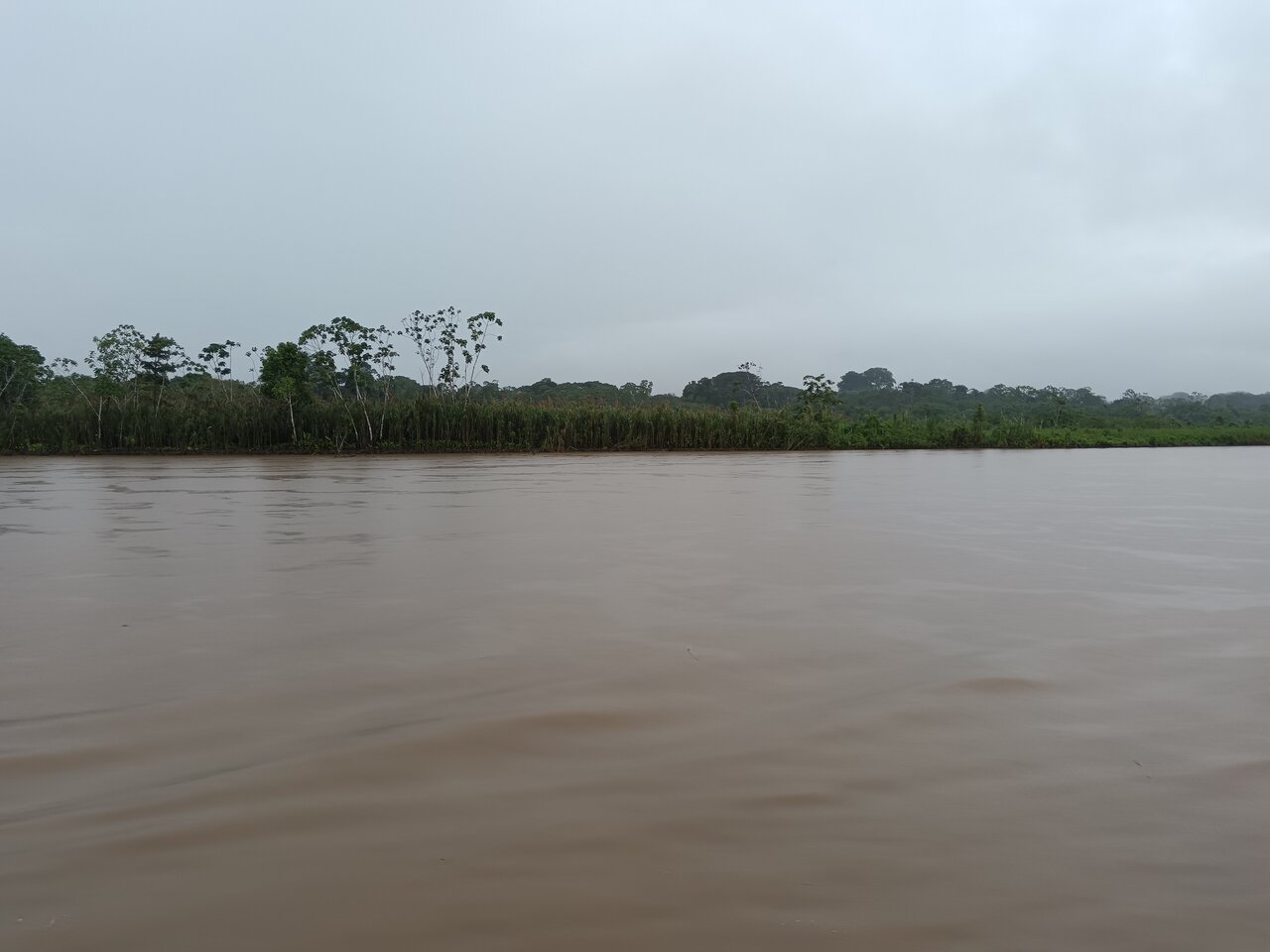 amazonas