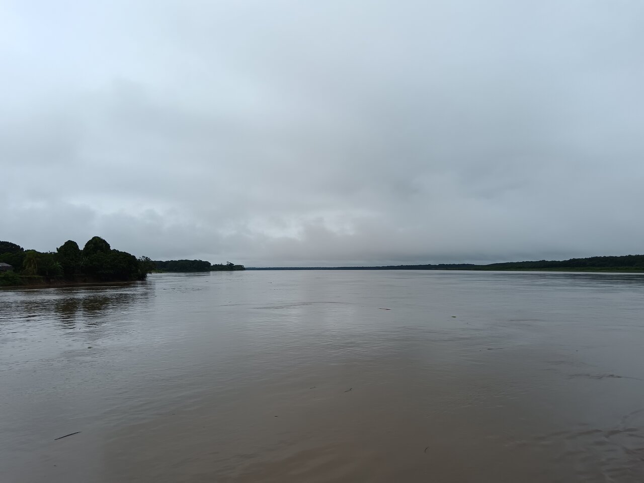 amazonas