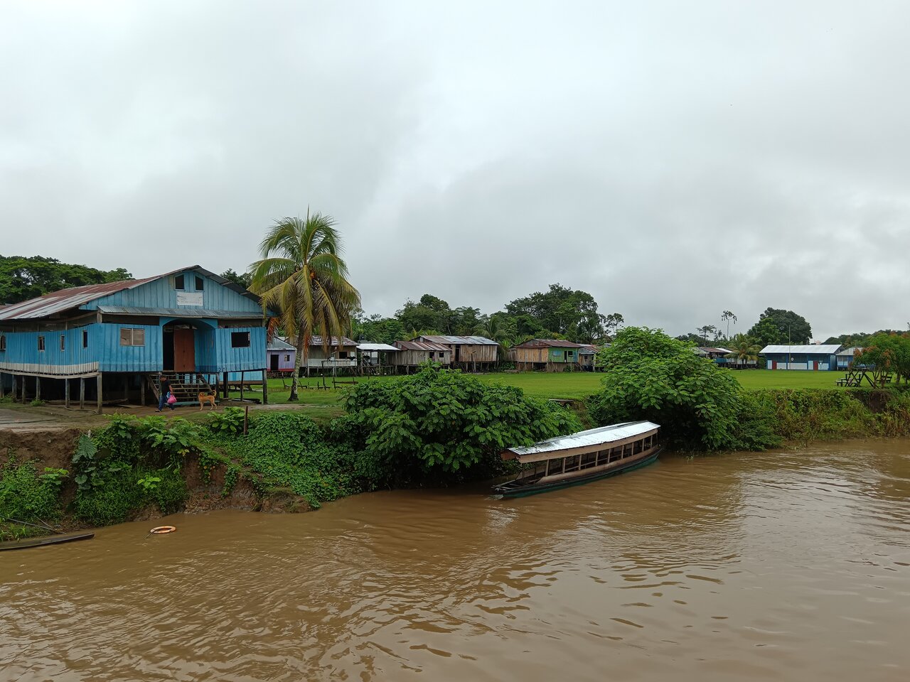 amazonas