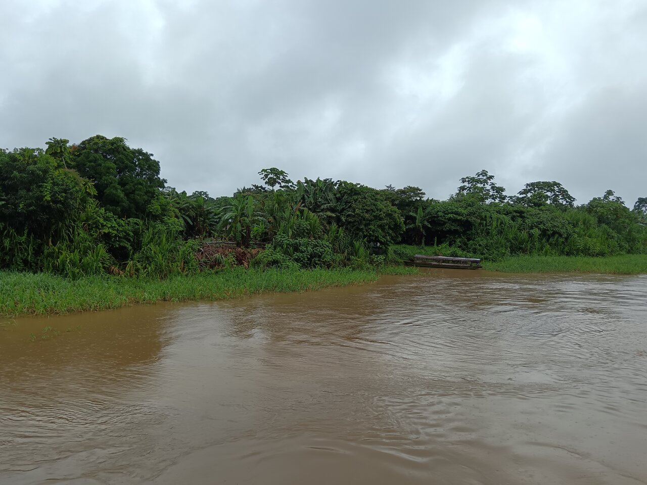 amazonas