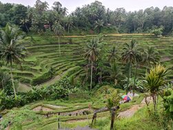 indonesia