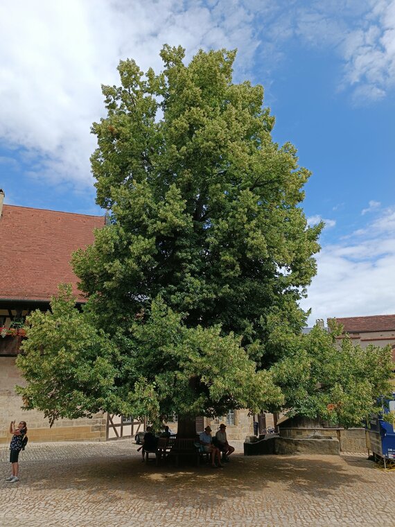 Bamberg