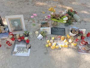 RIP Alexey Navalny