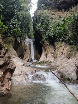 cachiyacu