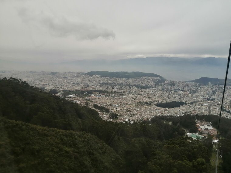 Quitó