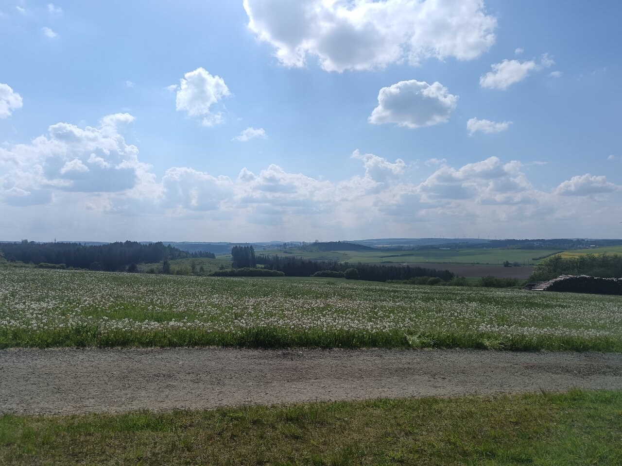 feilitzsch