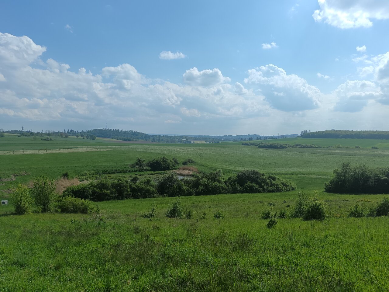 feilitzsch
