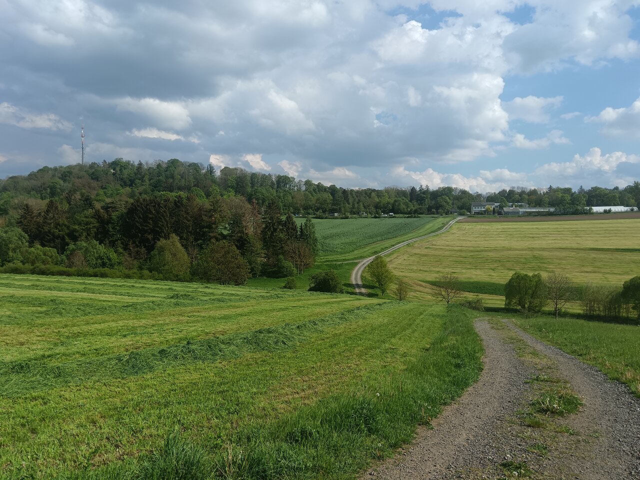 feilitzsch
