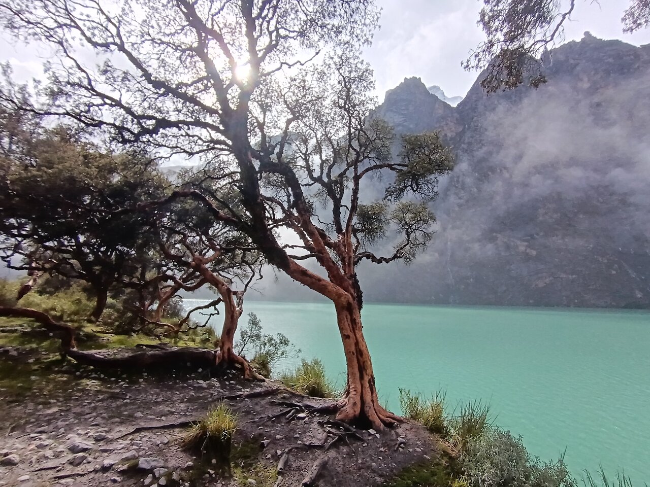 laguna69