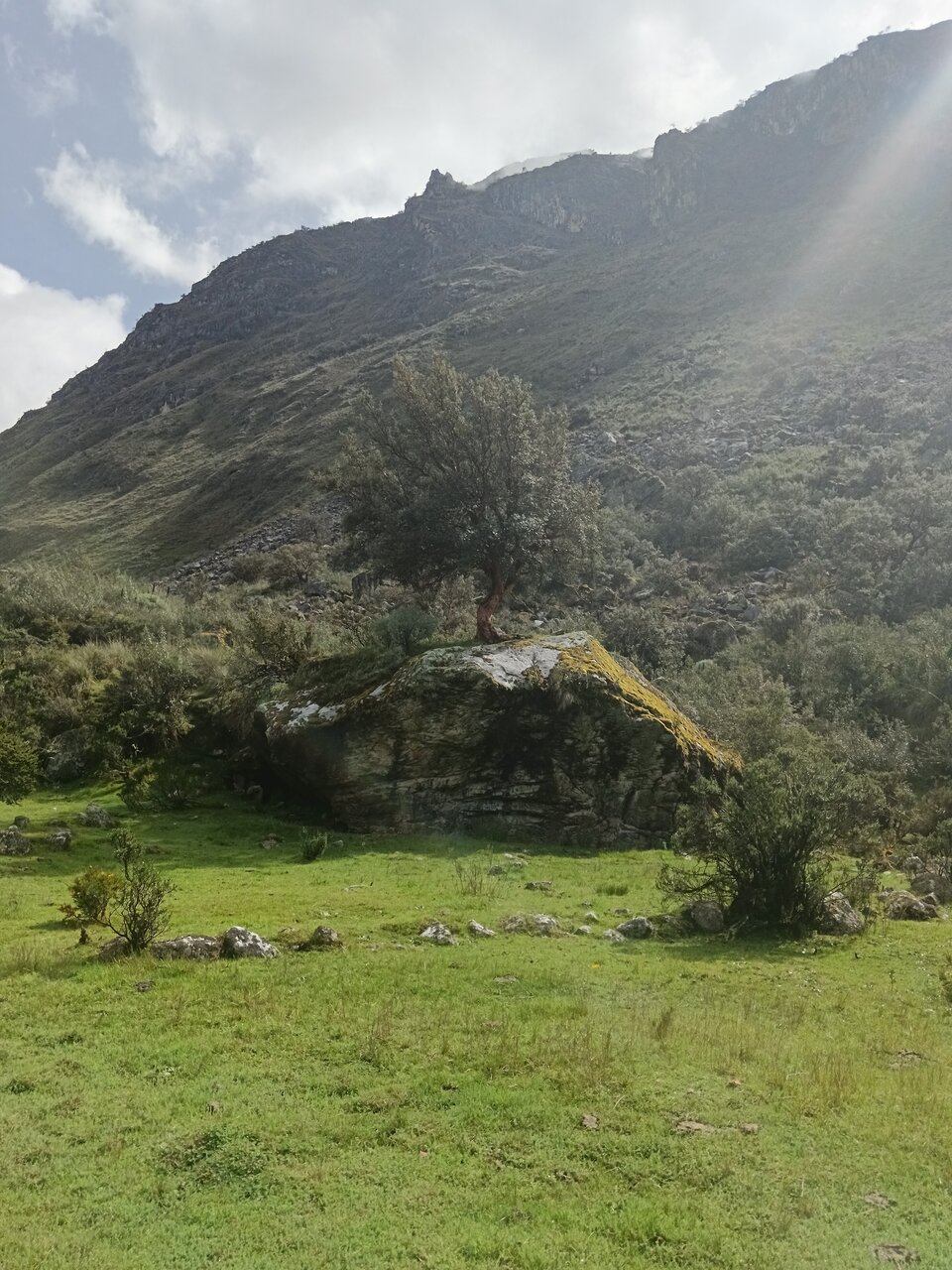laguna69