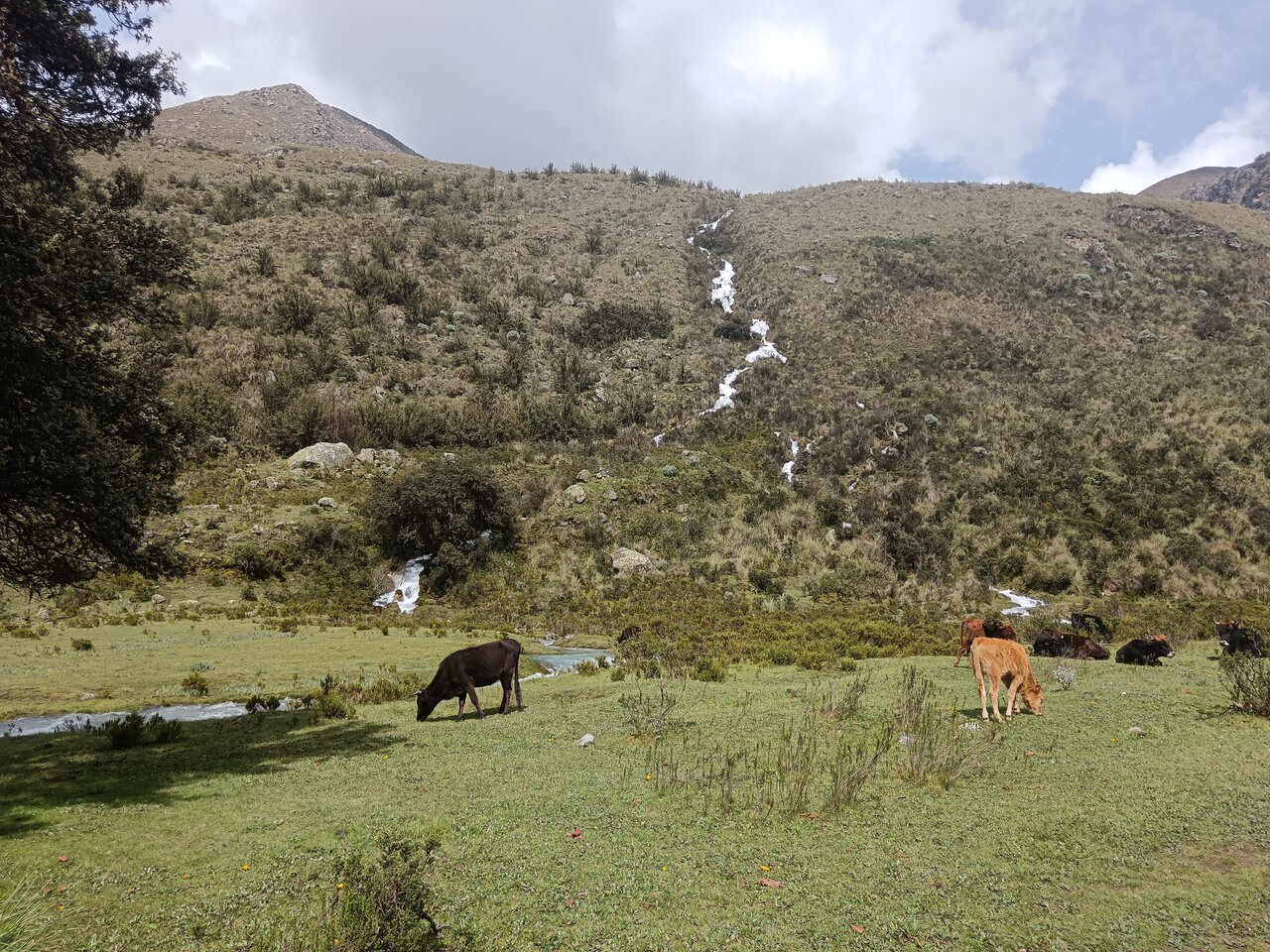 laguna69