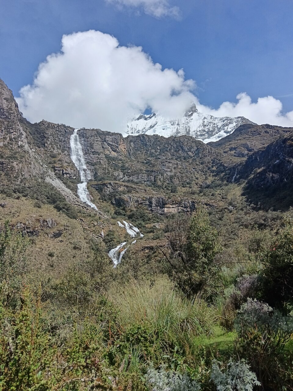 laguna69