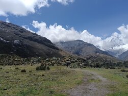 laguna69
