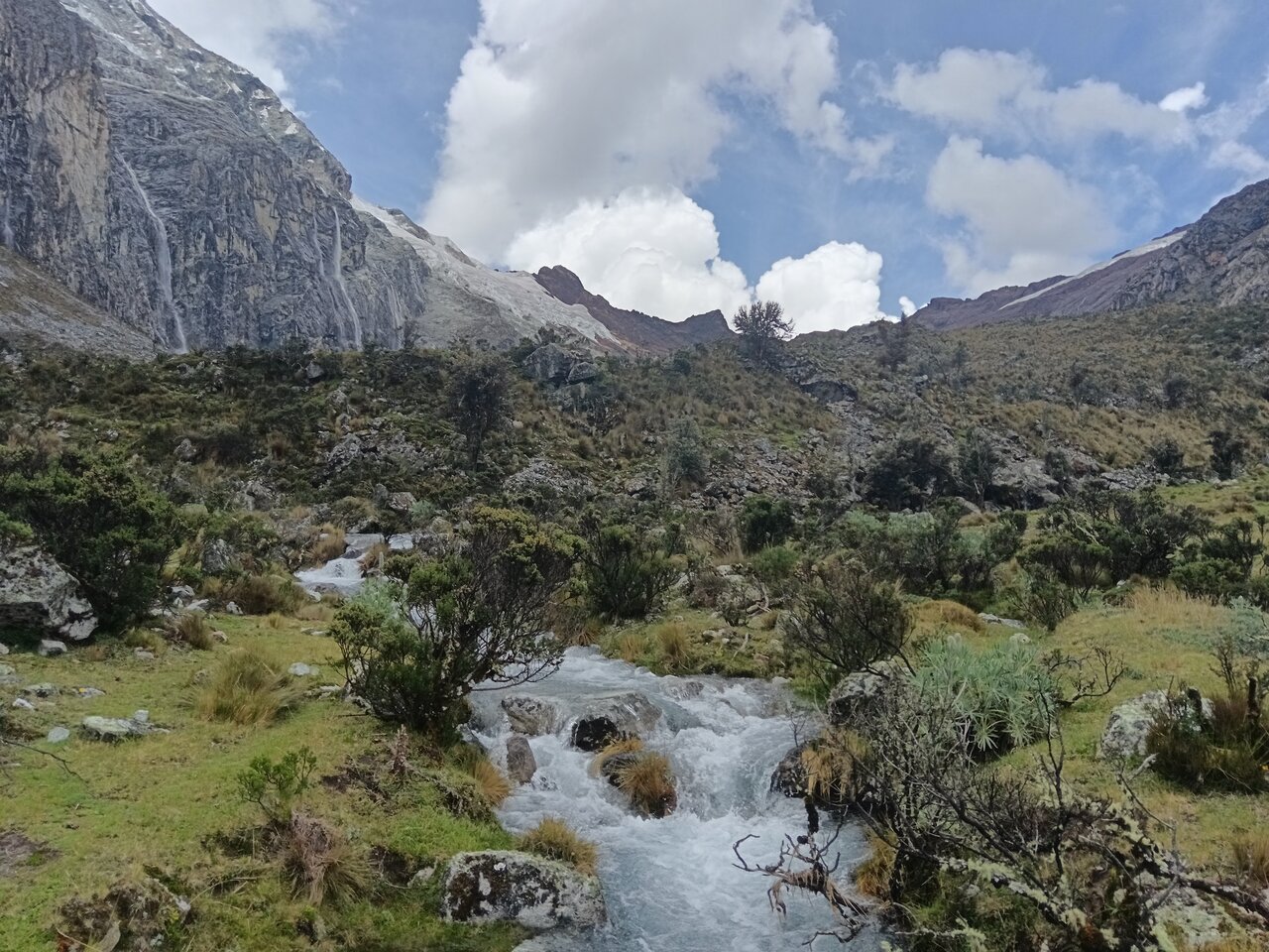 laguna69