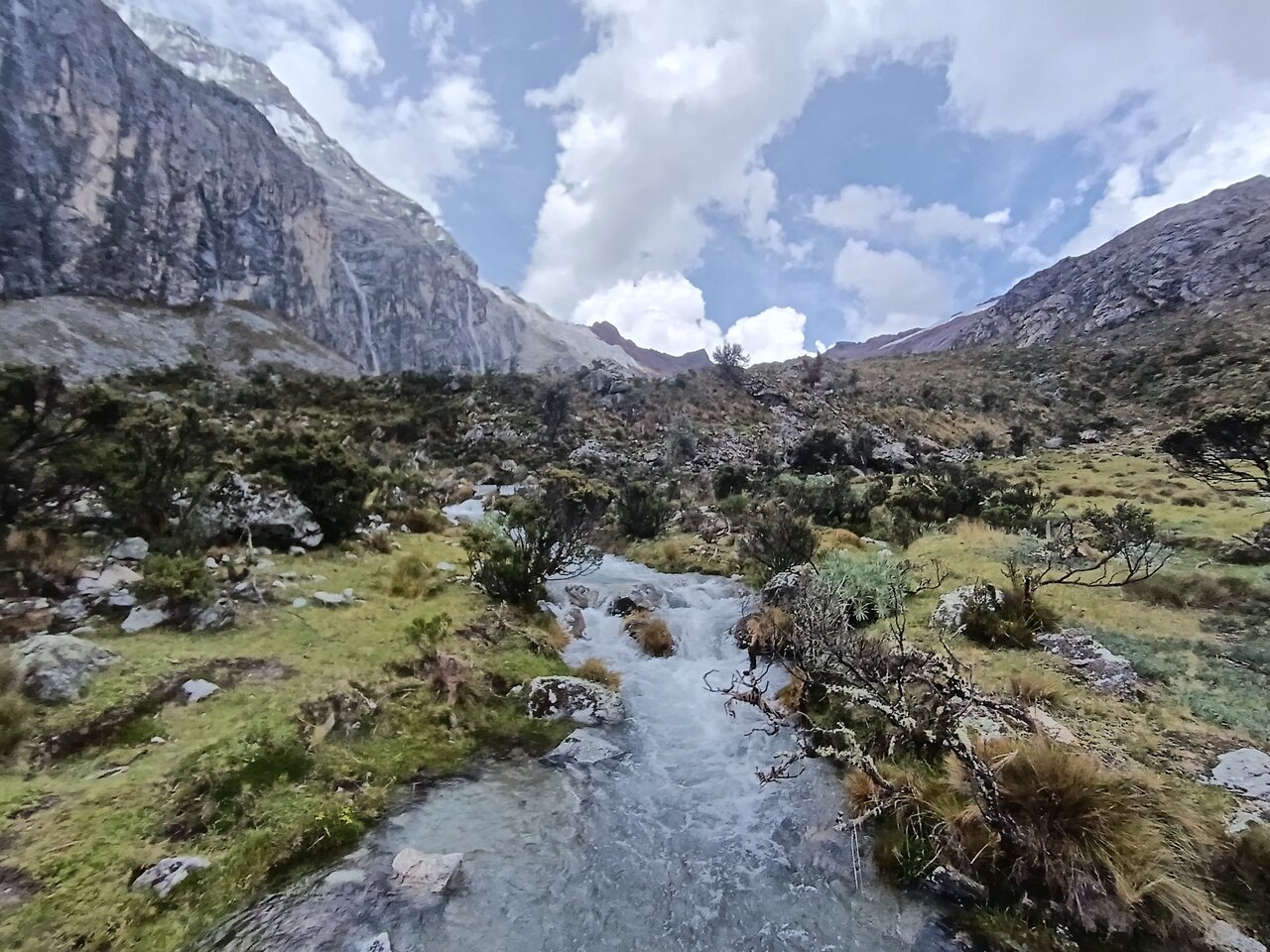 laguna69