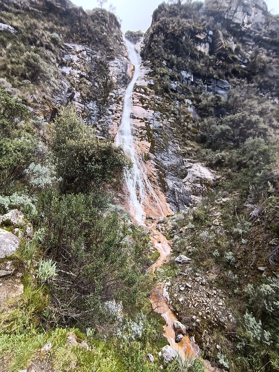laguna69