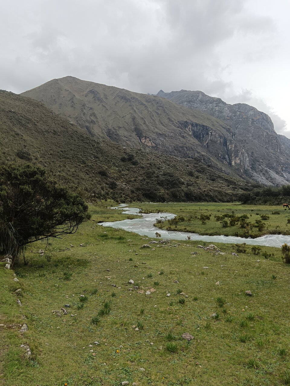 laguna69