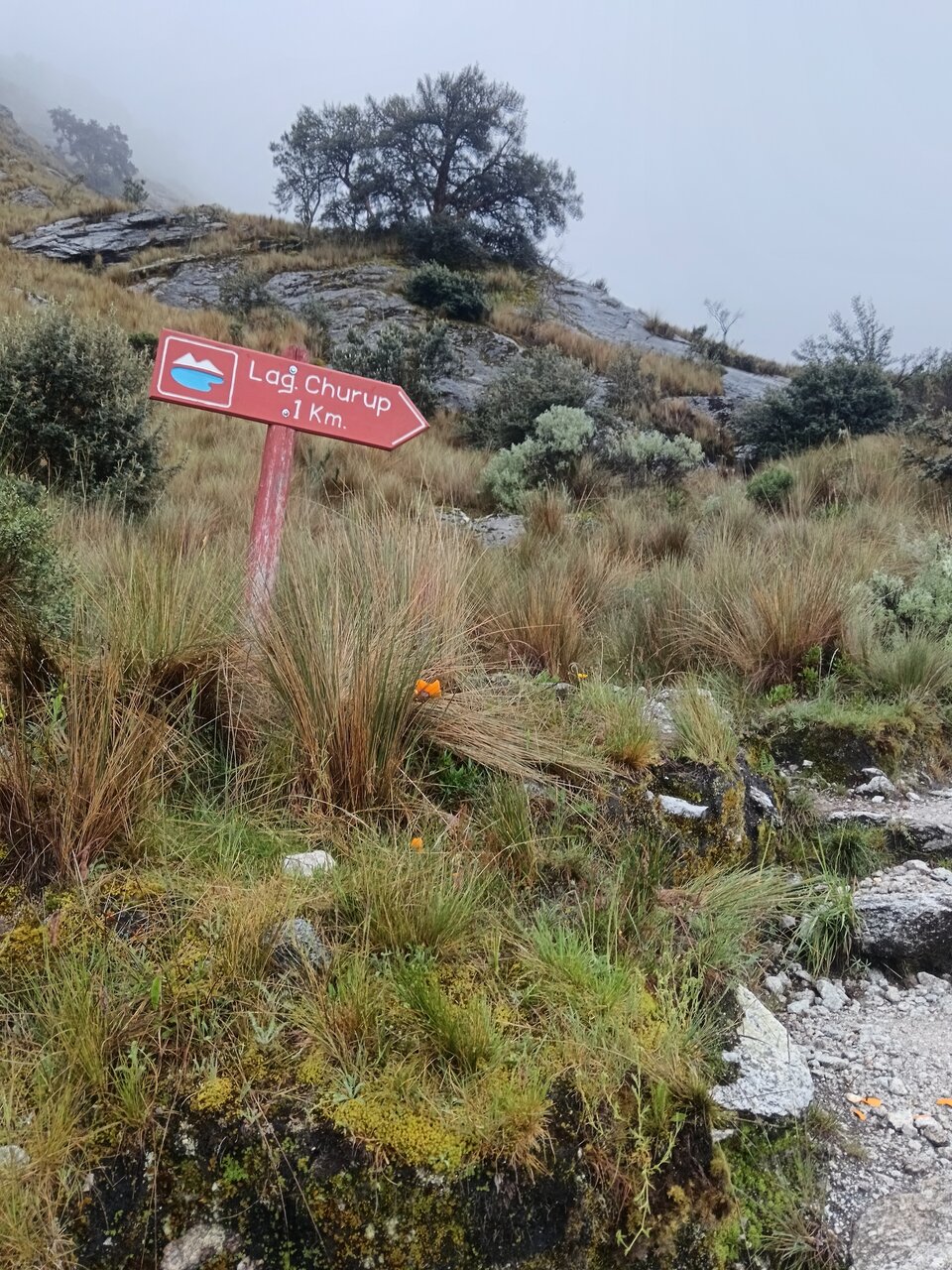 laguna_churup