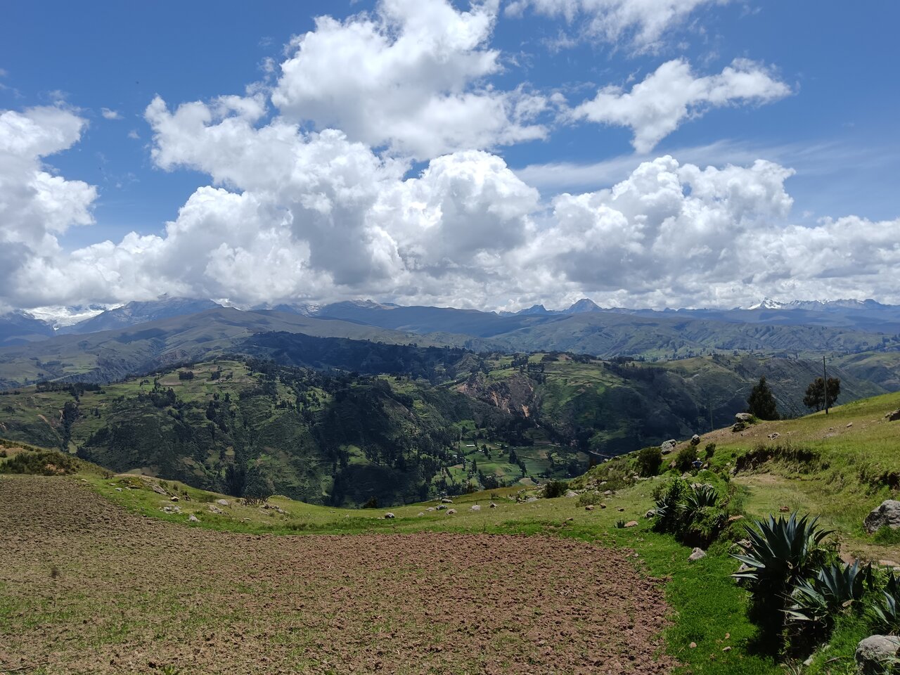 lagunawilcacocha
