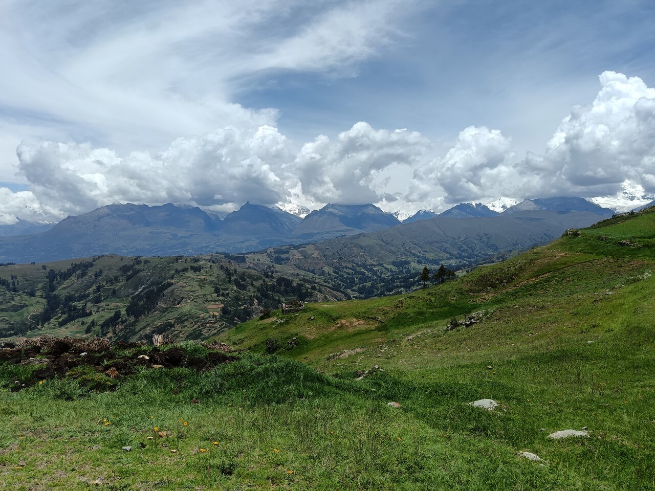 lagunawilcacocha