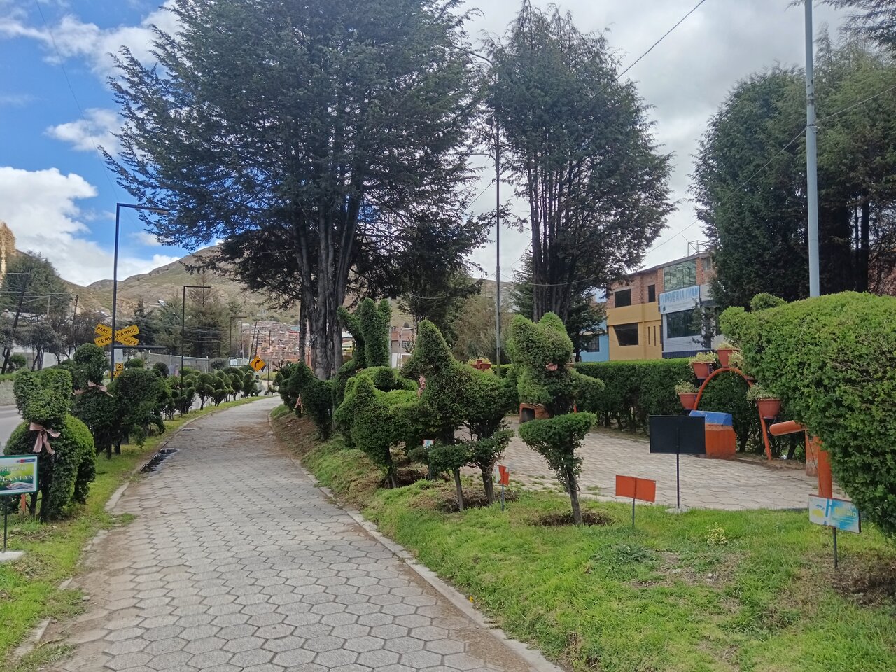 laoroya