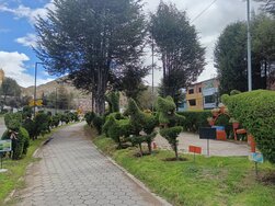 laoroya