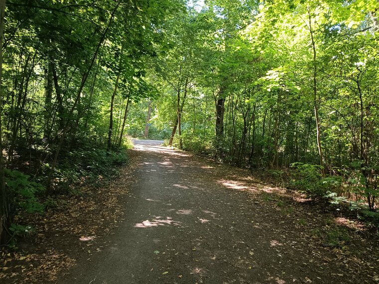 Auwald, Leipzig