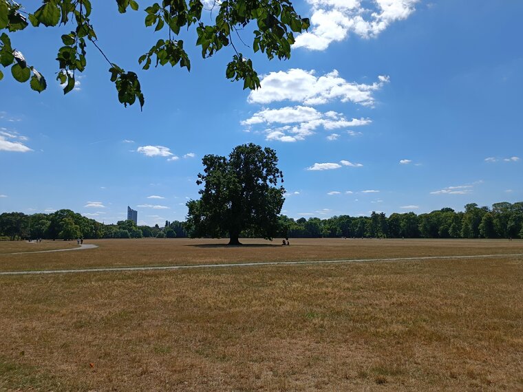Rosental, Leipzig