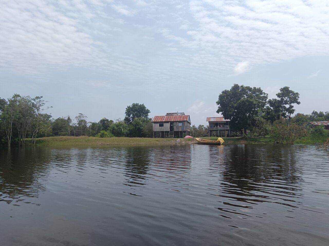 loboyacu