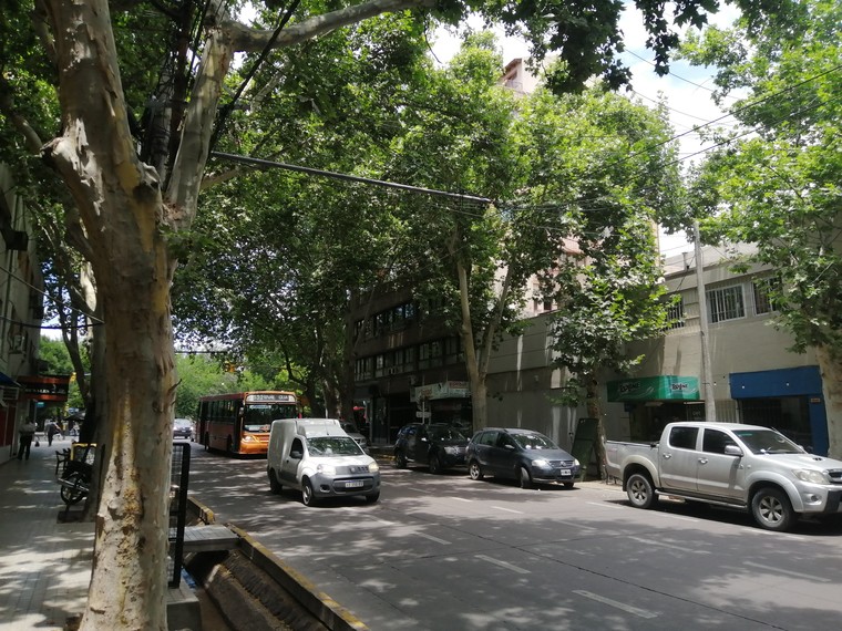 Street in Mendoza