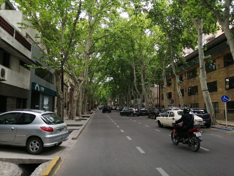 Street with irrogation