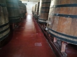 Mendoza