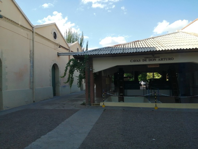 Vinery in Mendoza