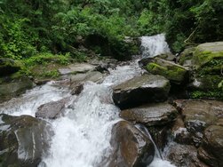 Panos
